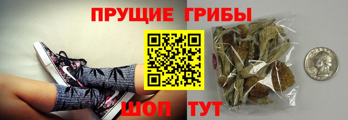Псилоцибиновые грибы Cubensis  Вход с VPN  Курган 